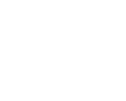 Leevs